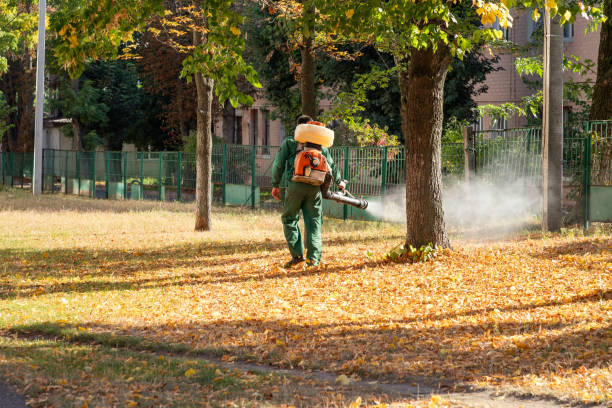 Best Rodent Control Near Me  in South Lyon, MI
