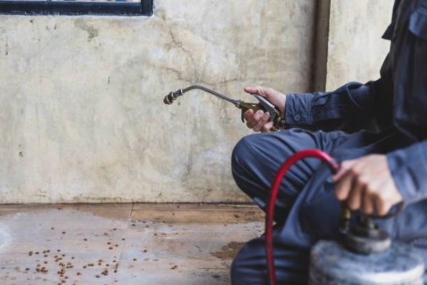 Best Exterminator Services  in South Lyon, MI